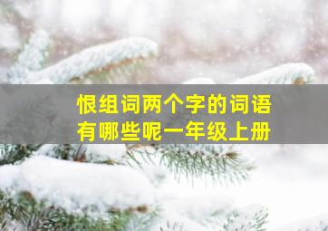 恨组词两个字的词语有哪些呢一年级上册