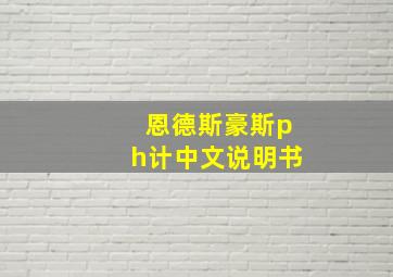 恩德斯豪斯ph计中文说明书