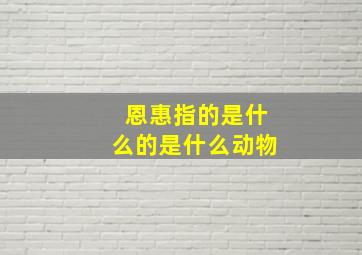 恩惠指的是什么的是什么动物