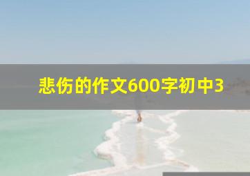 悲伤的作文600字初中3