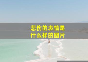 悲伤的表情是什么样的图片