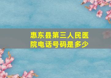 惠东县第三人民医院电话号码是多少