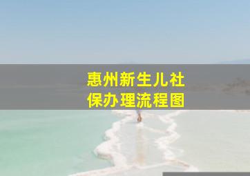 惠州新生儿社保办理流程图