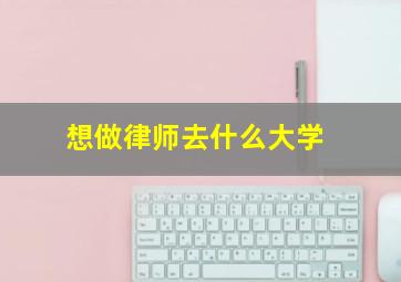 想做律师去什么大学