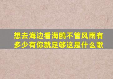 想去海边看海鸥不管风雨有多少有你就足够这是什么歌