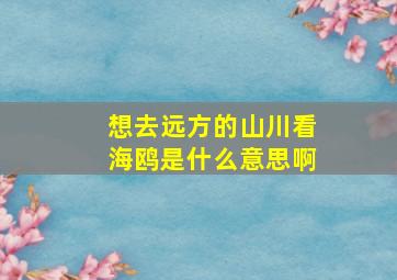 想去远方的山川看海鸥是什么意思啊