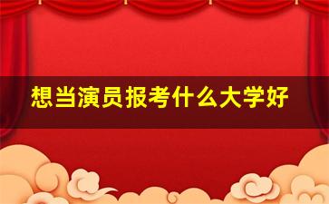 想当演员报考什么大学好