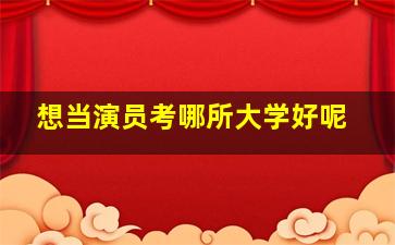 想当演员考哪所大学好呢