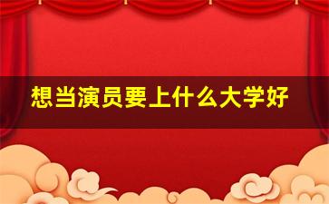 想当演员要上什么大学好