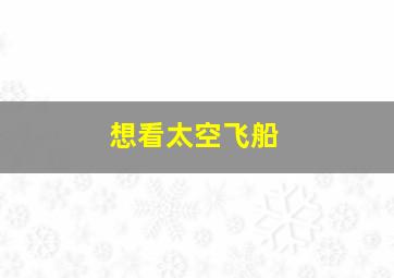 想看太空飞船