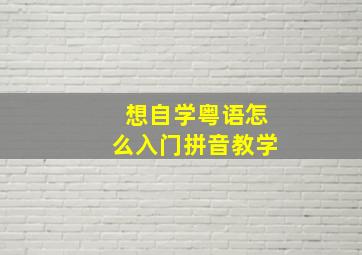 想自学粤语怎么入门拼音教学