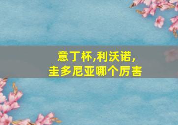 意丁杯,利沃诺,圭多尼亚哪个厉害