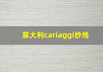 意大利cariaggi纱线