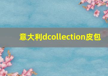 意大利dcollection皮包