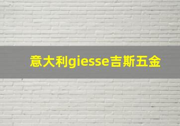 意大利giesse吉斯五金