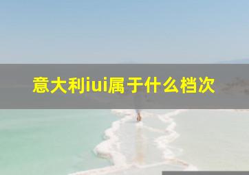 意大利iui属于什么档次