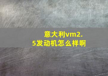 意大利vm2.5发动机怎么样啊