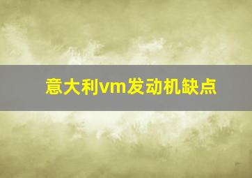 意大利vm发动机缺点