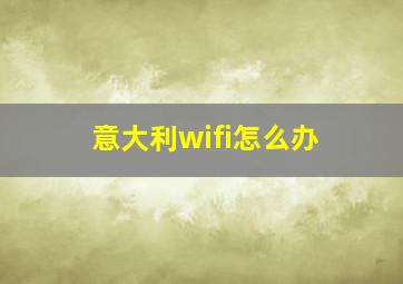 意大利wifi怎么办