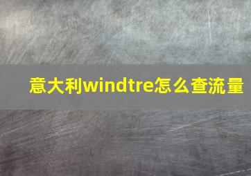 意大利windtre怎么查流量