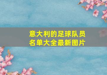 意大利的足球队员名单大全最新图片