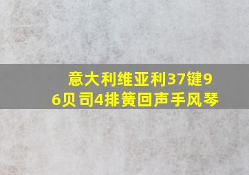 意大利维亚利37键96贝司4排簧回声手风琴