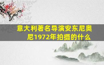 意大利著名导演安东尼奥尼1972年拍摄的什么