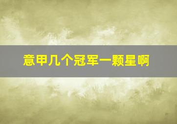 意甲几个冠军一颗星啊