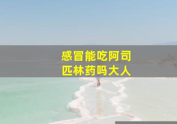 感冒能吃阿司匹林药吗大人