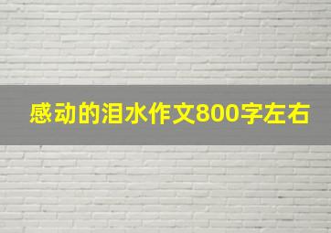 感动的泪水作文800字左右