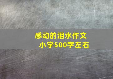 感动的泪水作文小学500字左右