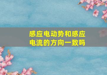 感应电动势和感应电流的方向一致吗