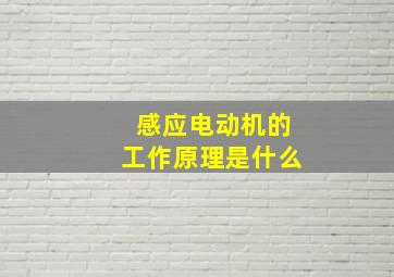 感应电动机的工作原理是什么