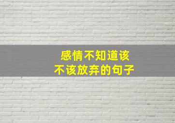 感情不知道该不该放弃的句子