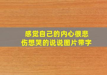 感觉自己的内心很悲伤想哭的说说图片带字