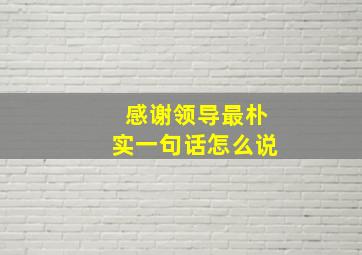 感谢领导最朴实一句话怎么说