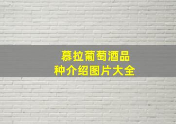 慕拉葡萄酒品种介绍图片大全