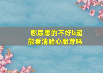 憋尿憋的不好b超能看清胎心胎芽吗