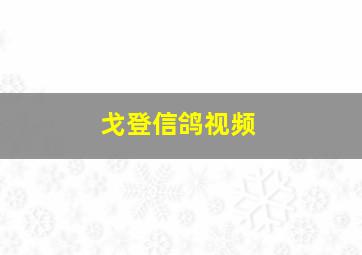 戈登信鸽视频