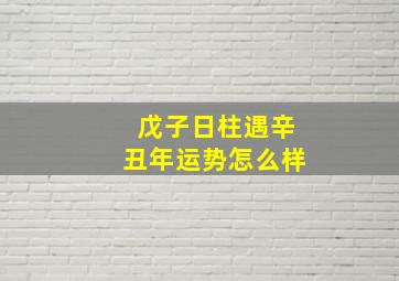 戊子日柱遇辛丑年运势怎么样