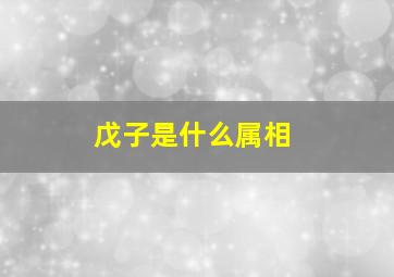 戊子是什么属相