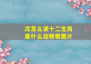 戊怎么读十二生肖是什么动物呢图片