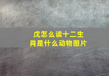 戊怎么读十二生肖是什么动物图片