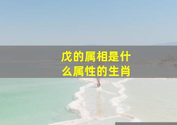 戊的属相是什么属性的生肖