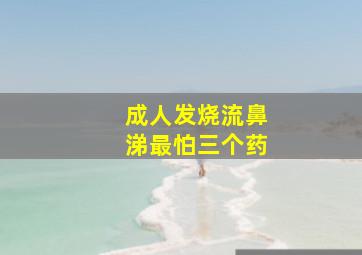 成人发烧流鼻涕最怕三个药