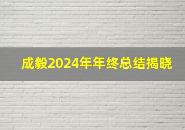 成毅2024年年终总结揭晓