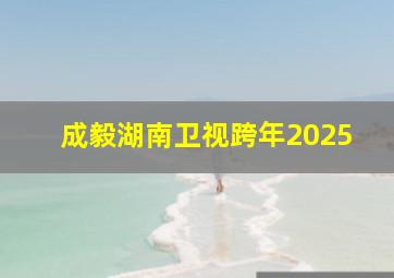 成毅湖南卫视跨年2025