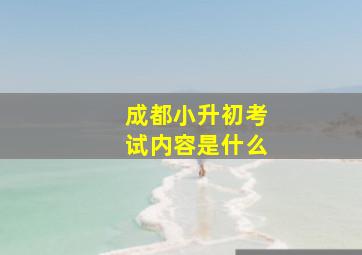 成都小升初考试内容是什么