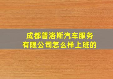 成都普洛斯汽车服务有限公司怎么样上班的