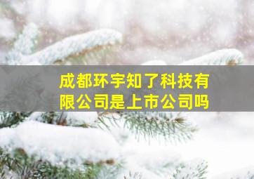 成都环宇知了科技有限公司是上市公司吗